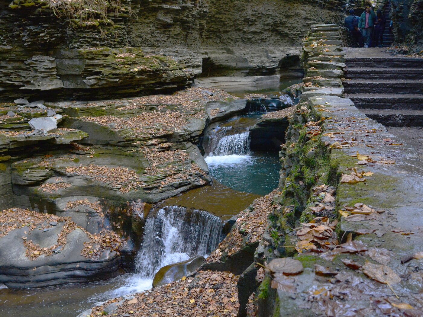 Stone steps beside a series of small cascades in the narrow gorge at Watkins Glen, with fallen leaves on the layered rock and hikers on the steps above