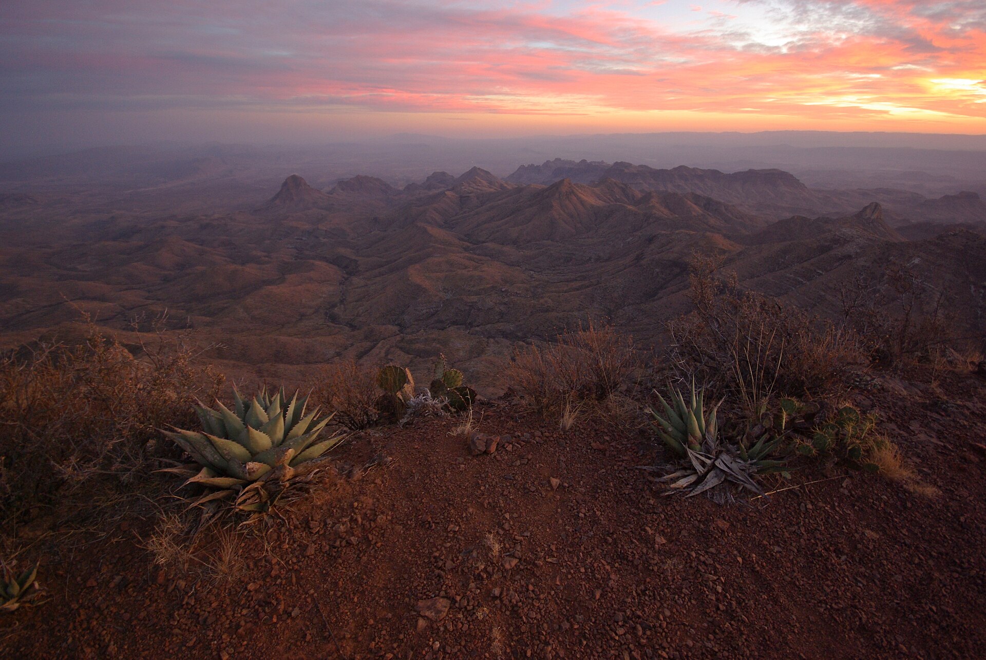 Desert mountains and ridges receding into haze under a pink and orange sunset, with agave and prickly pear on red gravel in the foreground