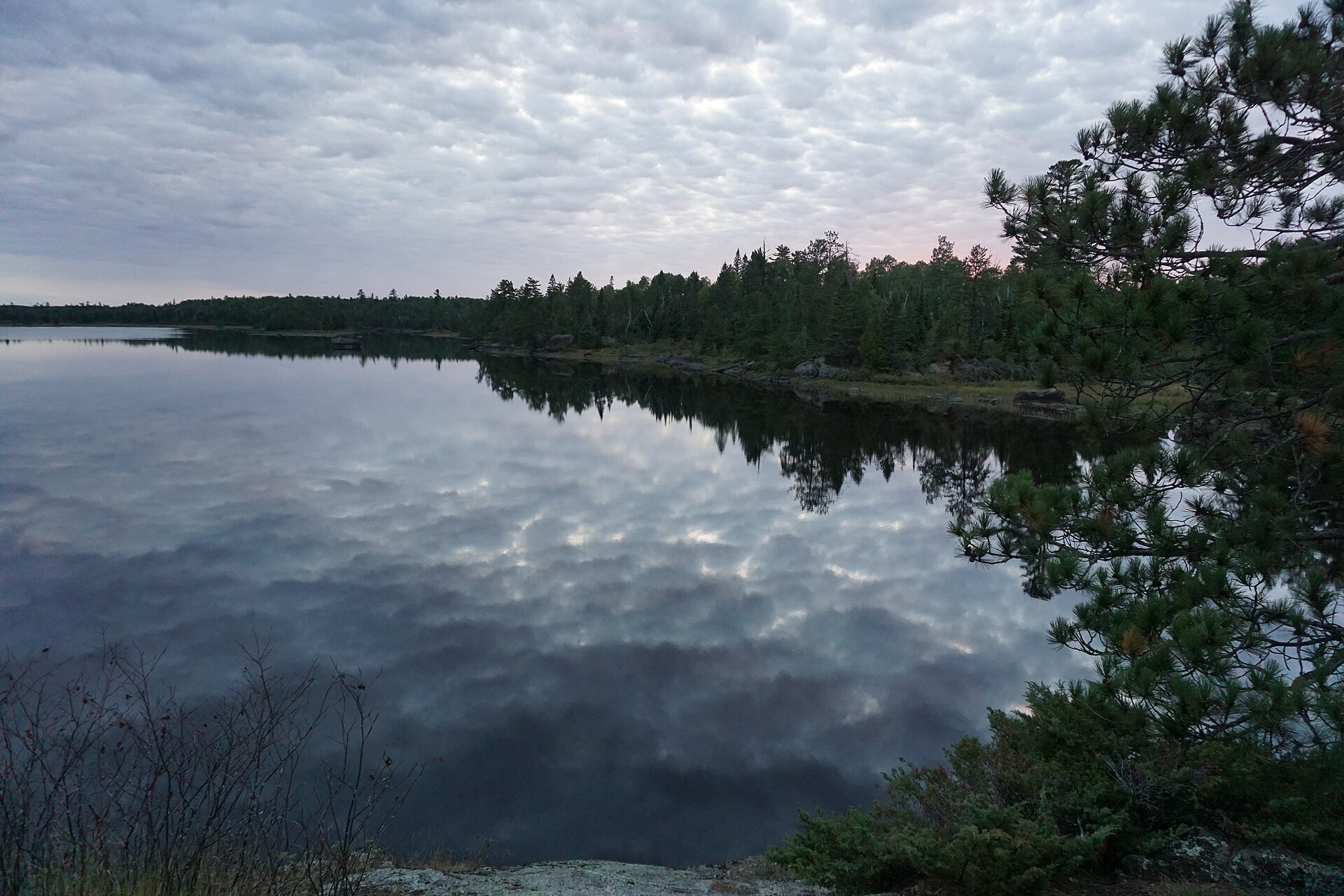 A calm northwoods lake at dusk with stratocumulus clouds mirrored in the water and a dark treeline of pines along the far shore