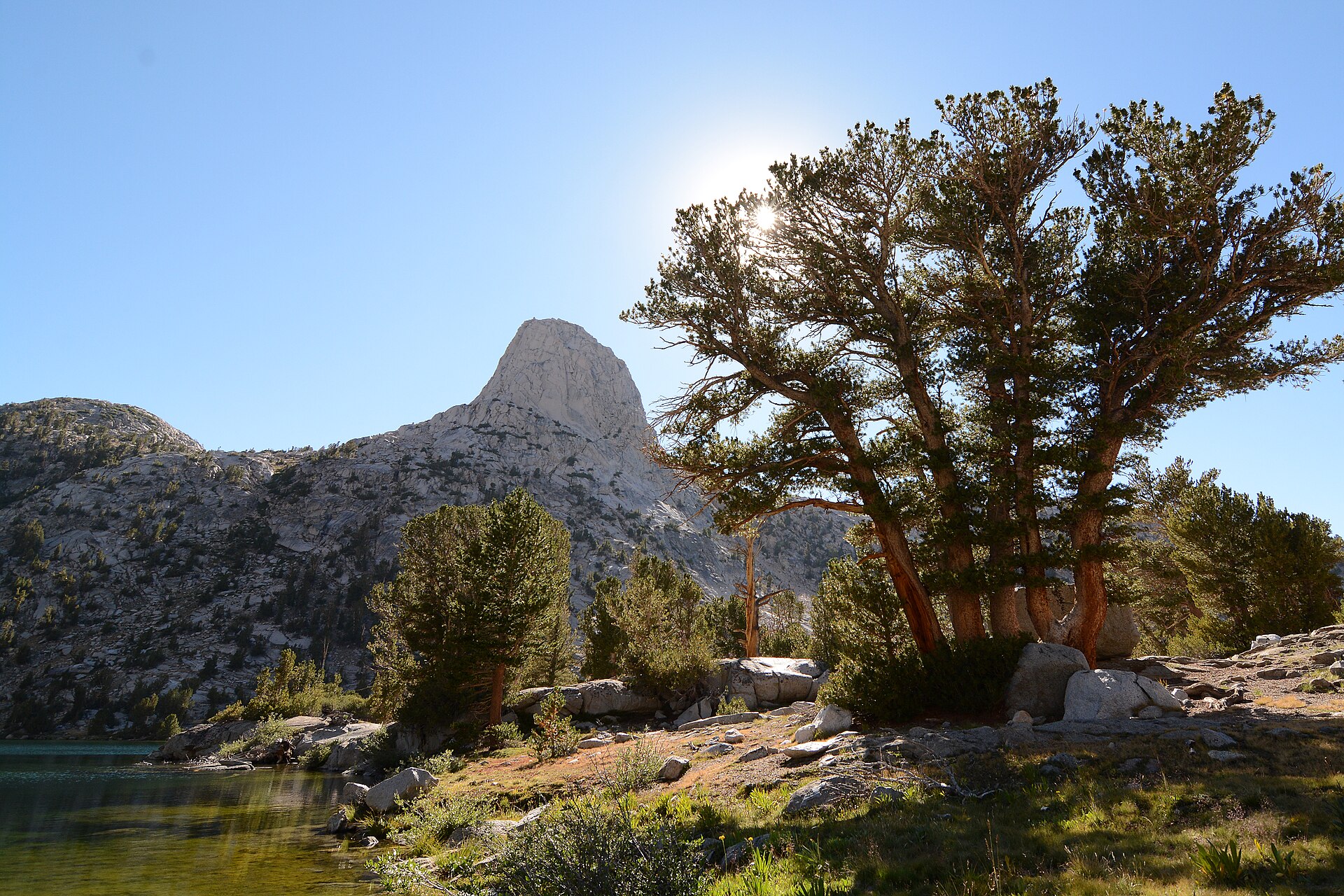 A pointed granite dome rising behind a stand of weathered pines at the edge of a clear alpine lake in bright Sierra sunlight