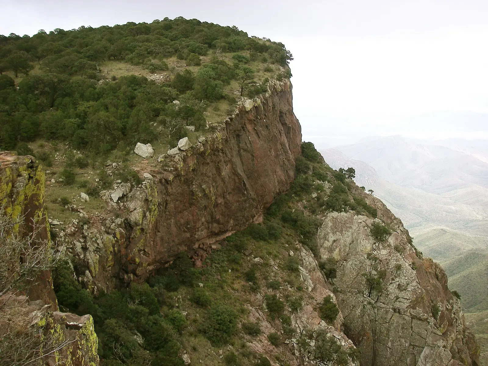 The South Rim escarpment in Big Bend National Park, a cliff edge fringed with oaks dropping hundreds of feet to pale desert ridges running to the horizon