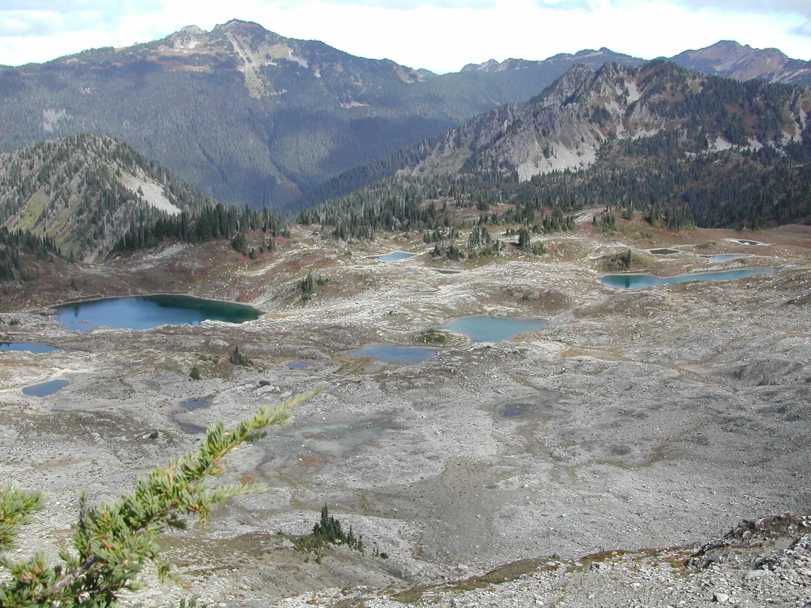 The Seven Lakes Basin in Olympic National Park seen from the High Divide, a scatter of blue tarns across pale rock with forested ridges and peaks running back to the horizon