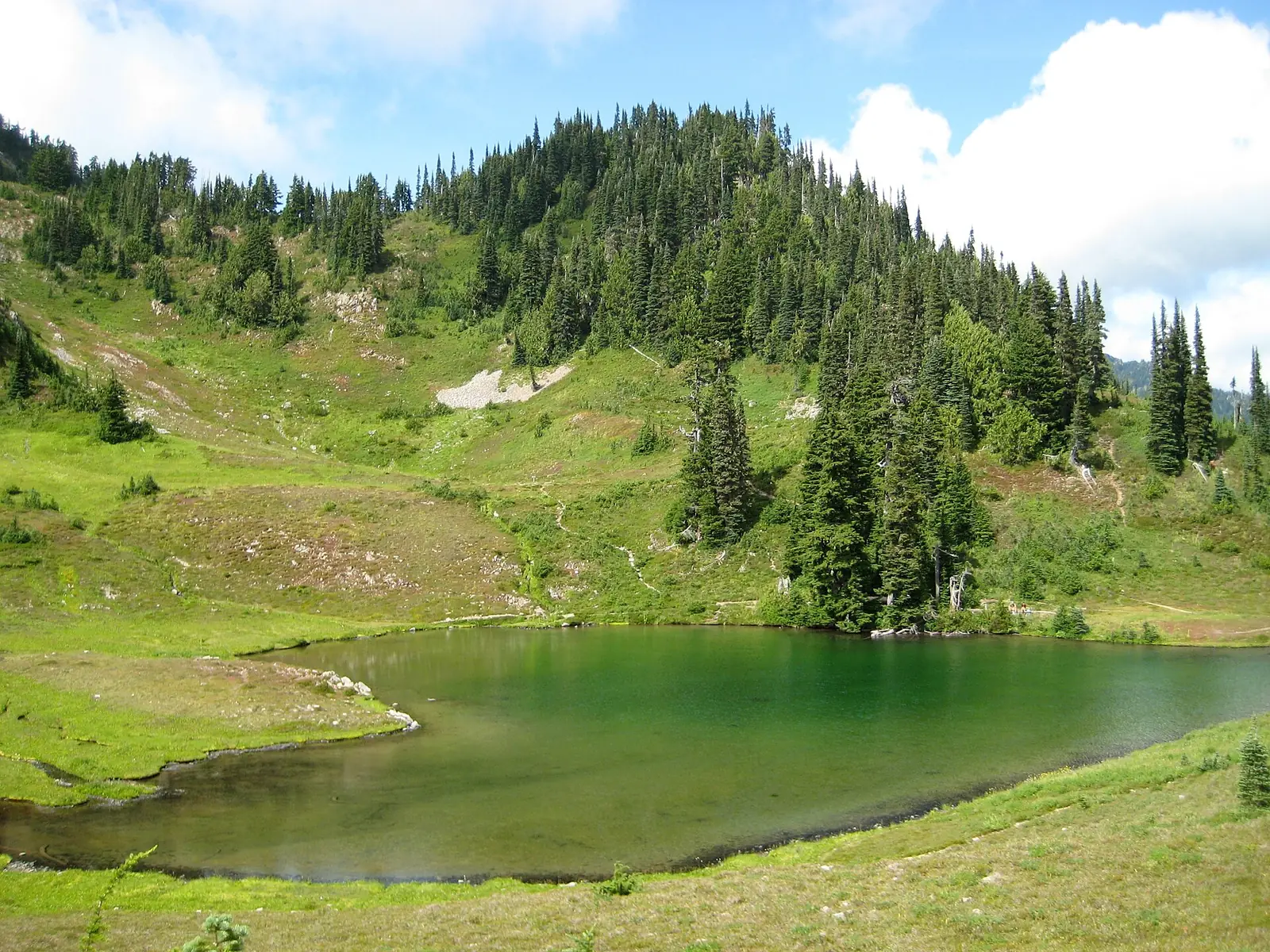 Heart Lake in the Seven Lakes Basin, Olympic National Park, a green tarn ringed by meadow with a conifer-covered slope rising behind it