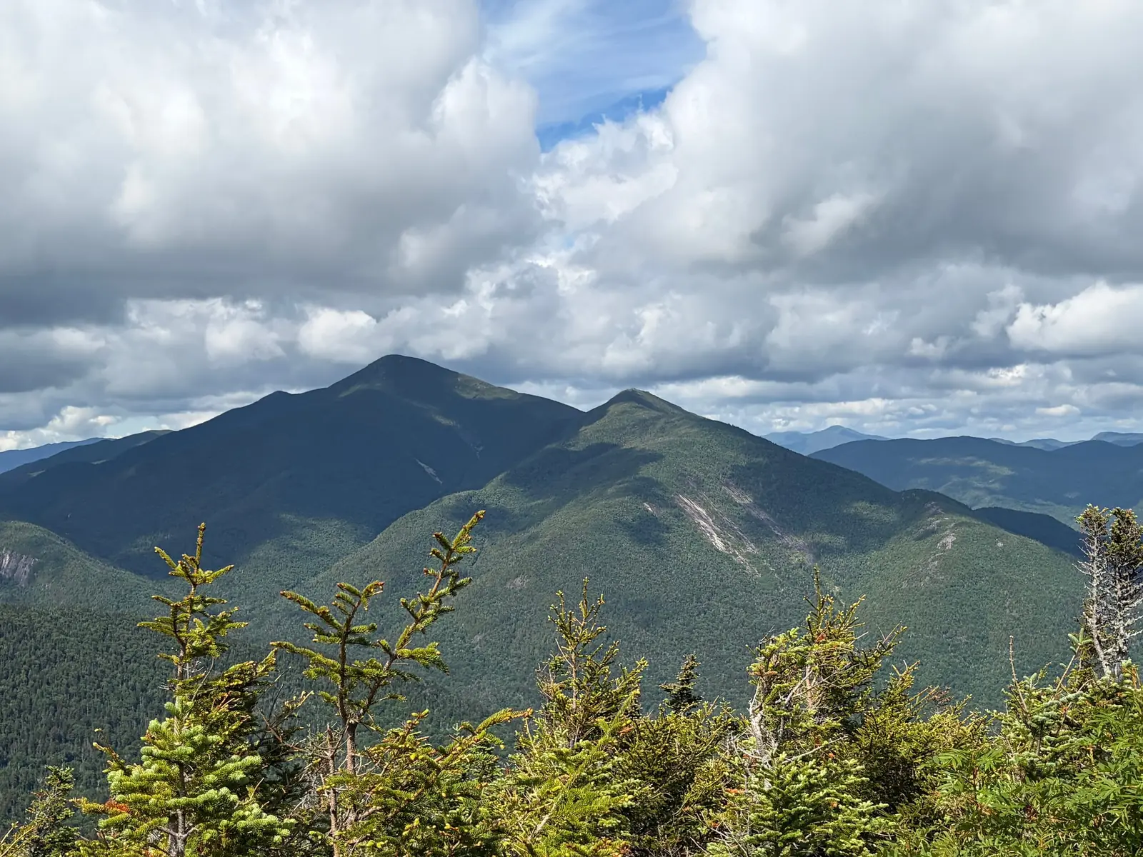 Algonquin Peak rising dark behind Wright Peak in the Adirondack High Peaks, seen over stunted spruce from the summit of Phelps Mountain