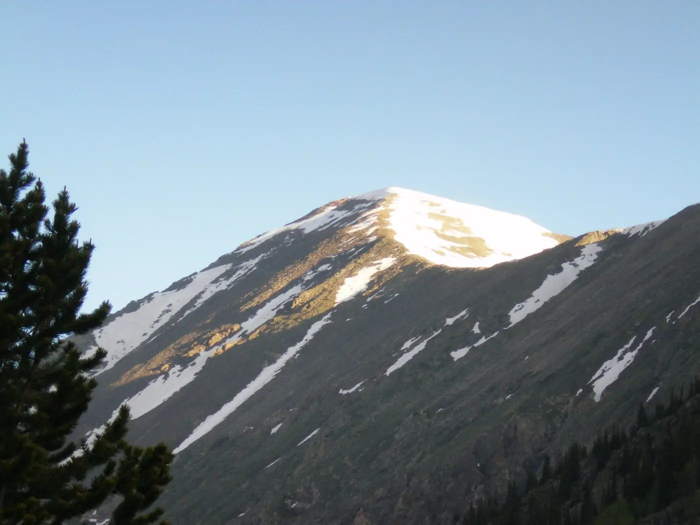 The snow-streaked summit slope of Quandary Peak catching early morning light above a bare rocky flank, with the tops of conifers in the bottom corner
