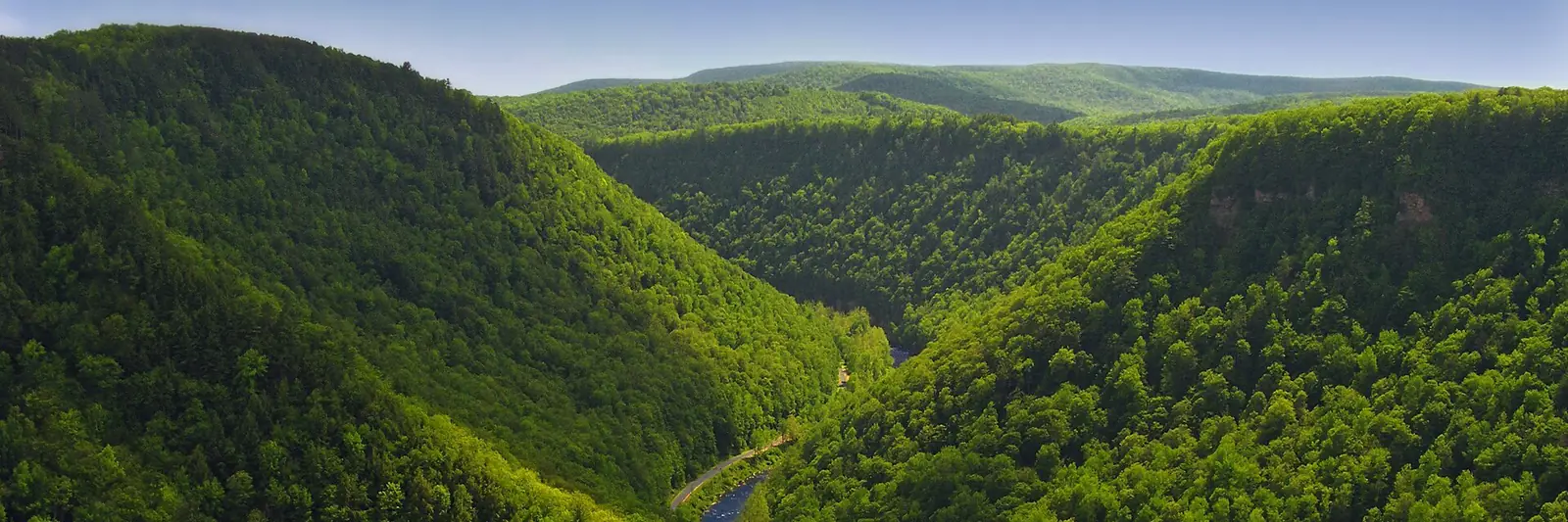 A deep V-shaped forested gorge in full summer green, with Pine Creek and a narrow trail running along the bottom and low ridges receding to the horizon