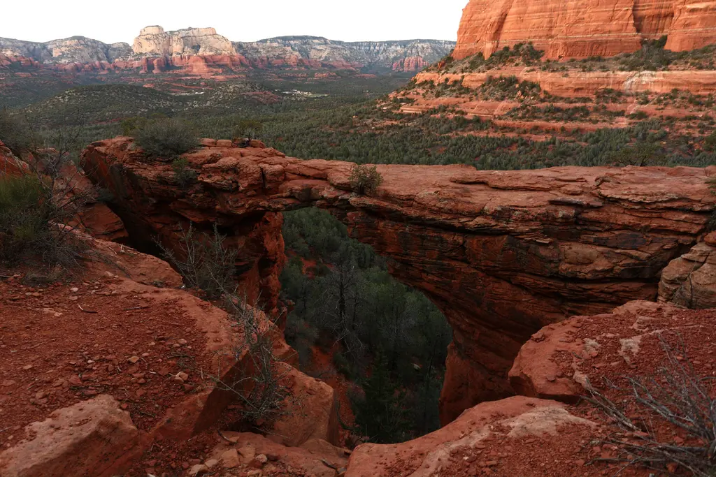 Devil's Bridge near Sedona, a long natural red sandstone arch spanning a wooded gully with red rock country and distant cream-capped buttes visible beyond