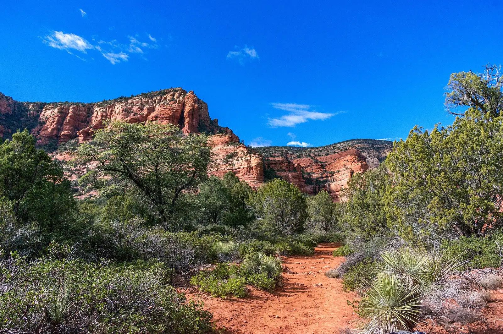 A red dirt trail leading toward the mouth of Fay Canyon near Sedona, banded red cliffs rising ahead behind green oak and juniper under a deep blue sky