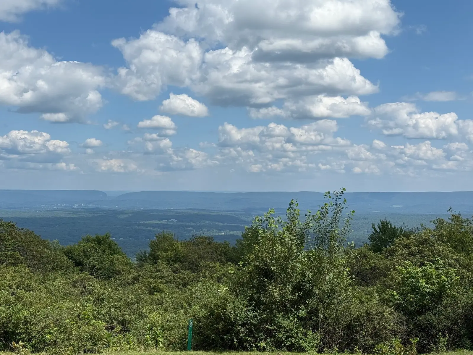 The long flat wall of Blue Mountain on the horizon beyond miles of rolling green forest, seen over low scrub from the east overlook at Big Pocono State Park