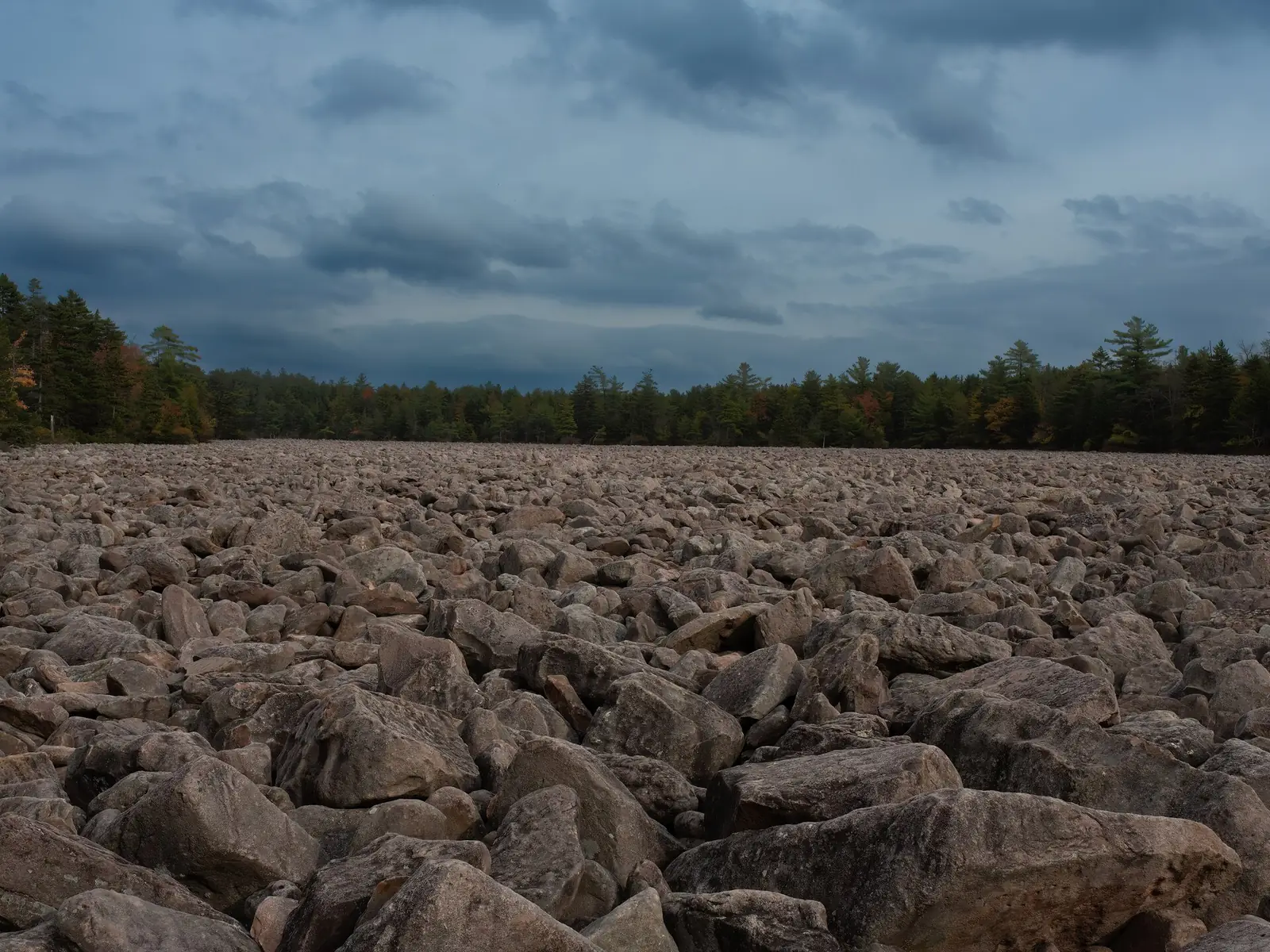 A flat expanse of gray and tan boulders stretching to a distant treeline of pines and hardwoods under a heavy overcast sky at Hickory Run State Park