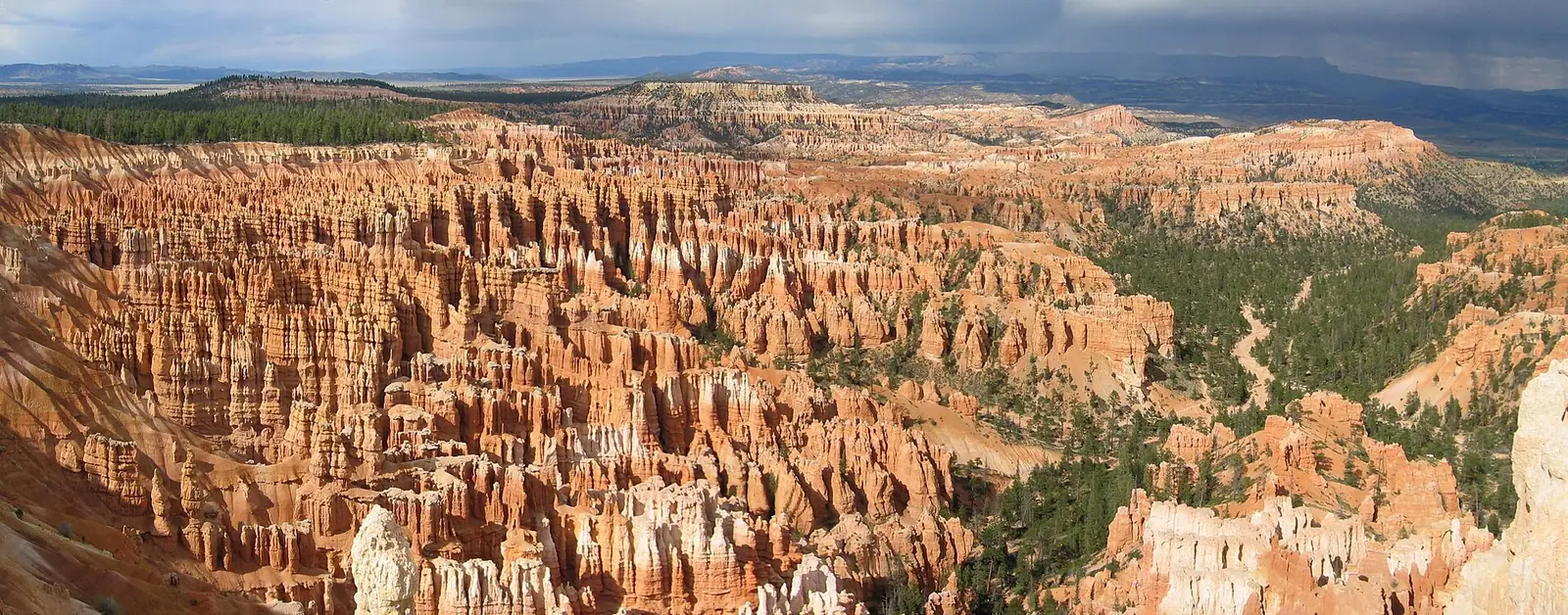 A wide panorama of thousands of orange and white hoodoo spires filling the Bryce Canyon amphitheater below a forested rim, with storm cloud shadow across the far plateau