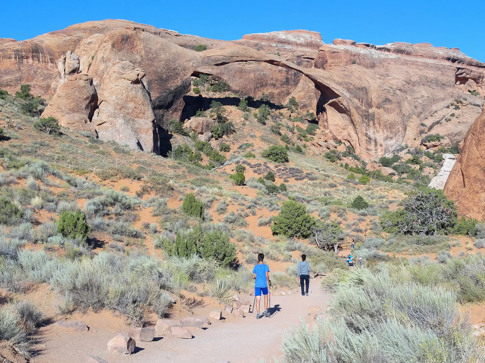Two hikers walking a sandy trail through sagebrush toward the long thin span of Landscape Arch in Arches National Park, under a deep blue sky