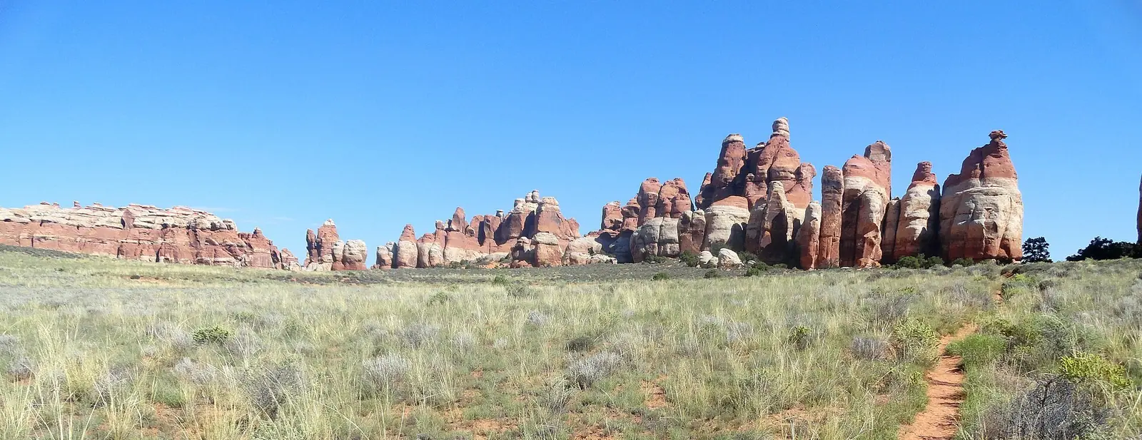 A narrow sand trail running through pale desert grass toward a line of banded red and white sandstone spires under a clear blue sky, Chesler Park in the Needles district of Canyonlands National Park