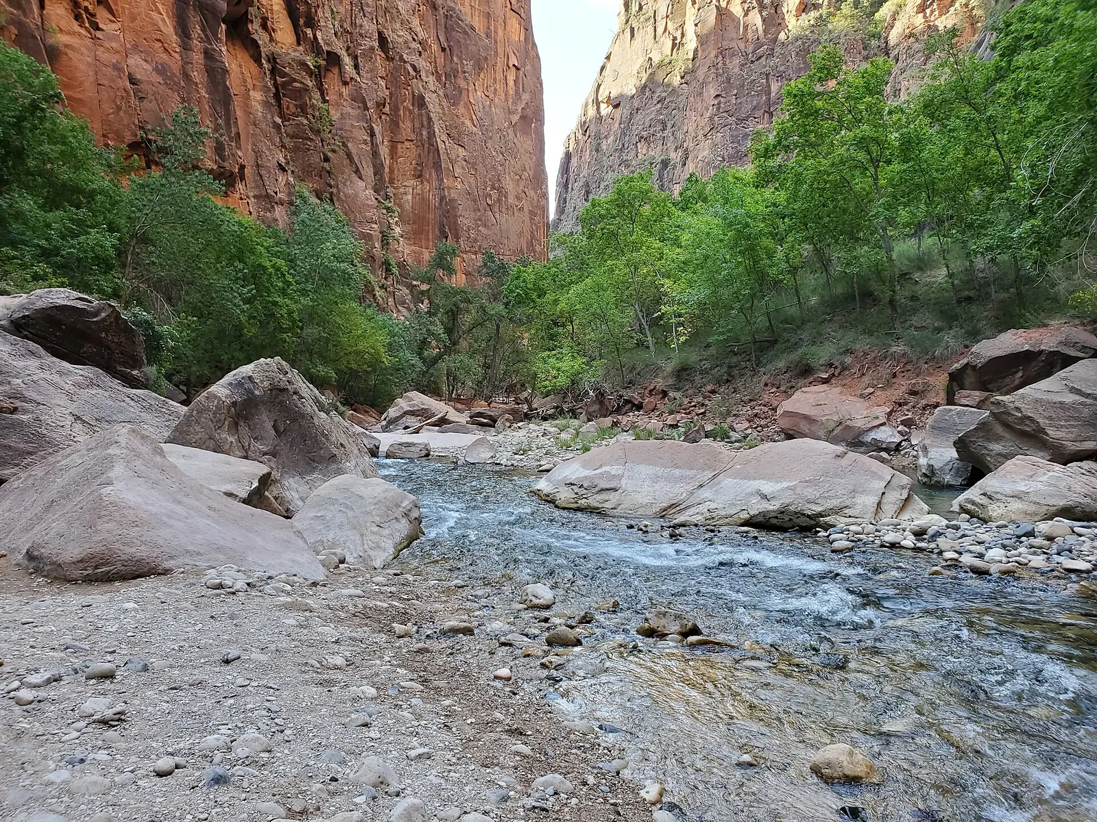 The Virgin River running between sheer red sandstone walls in Zion Canyon, green cottonwoods along both banks and the canyon narrowing to a slot in the distance