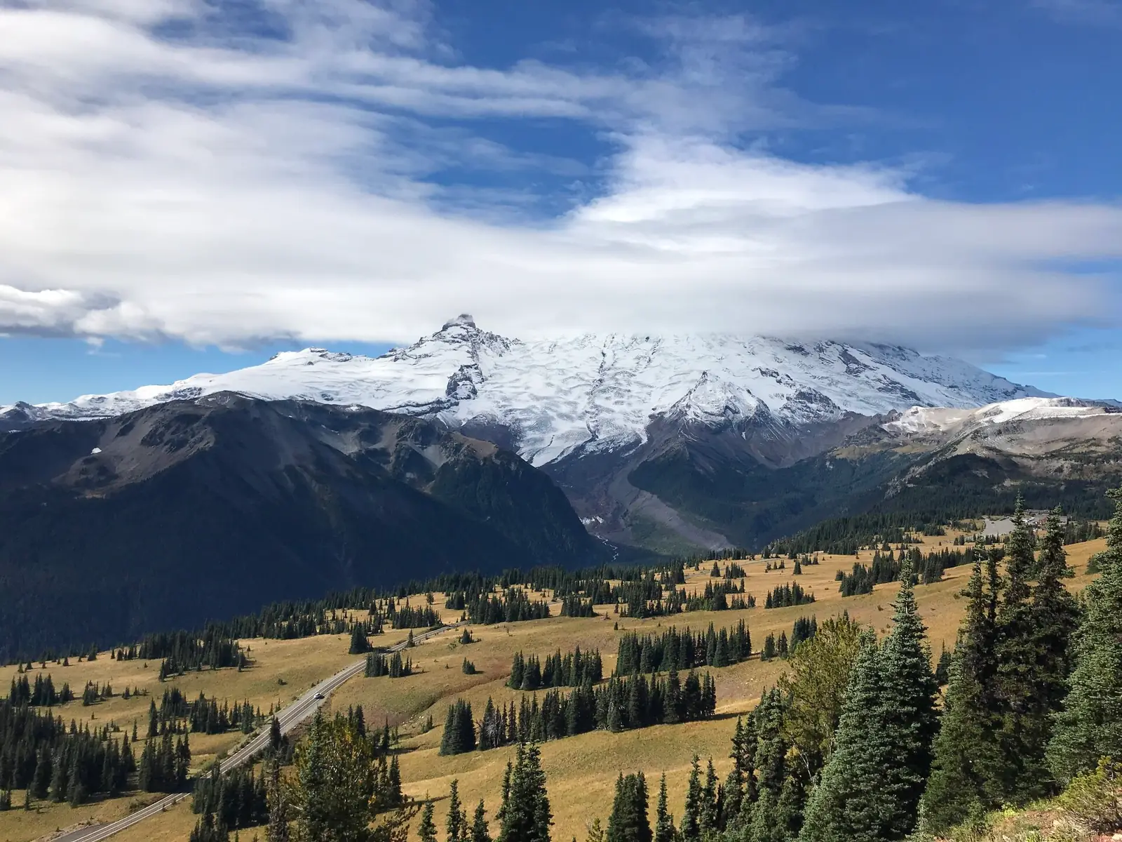 The glaciated north side of Mount Rainier above a golden subalpine meadow, with a two-lane road curving up through scattered firs in the foreground