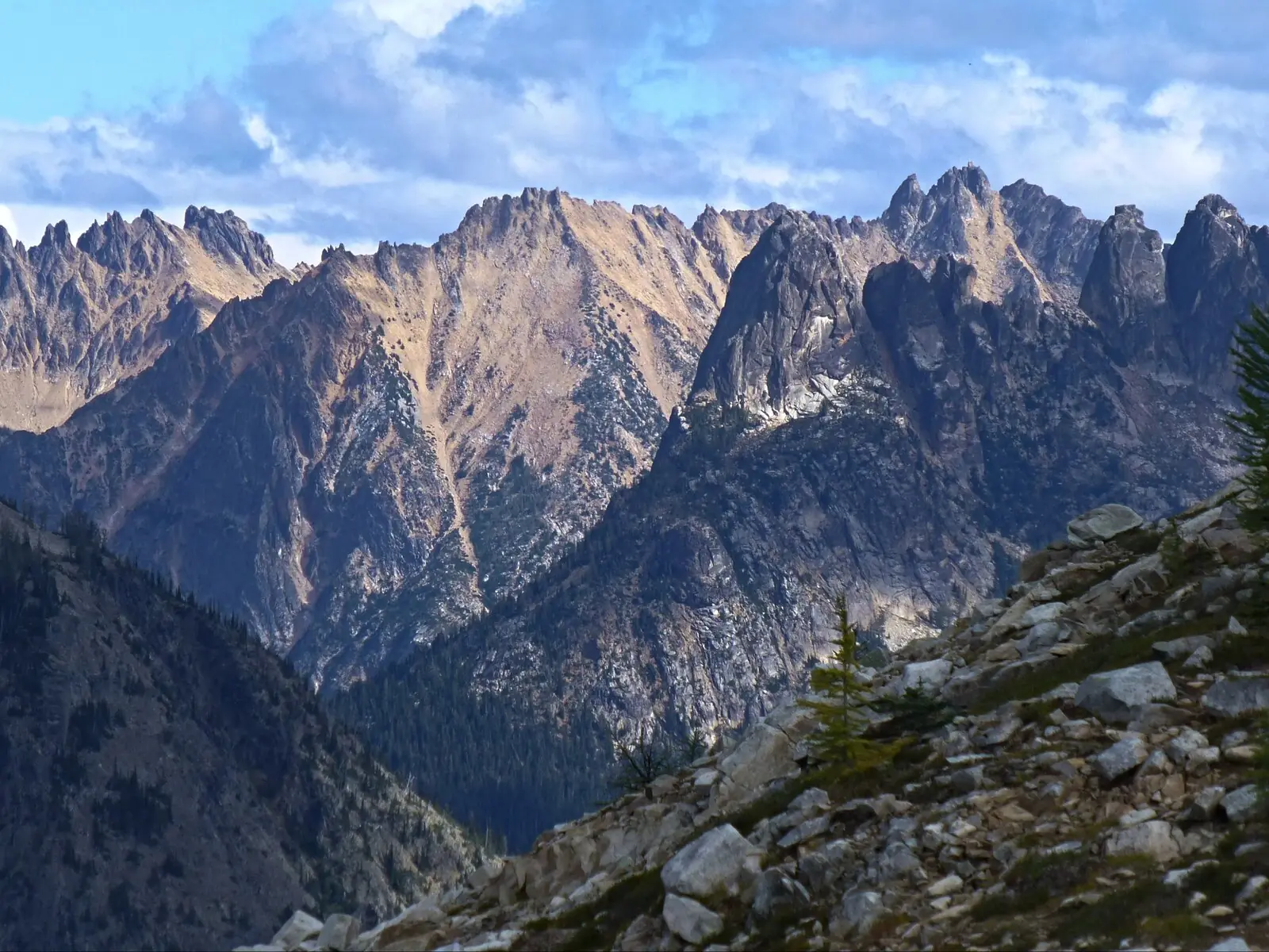 A serrated wall of pale granite peaks under a partly cloudy sky, seen across a deep forested valley from a boulder slope with a small larch in the foreground