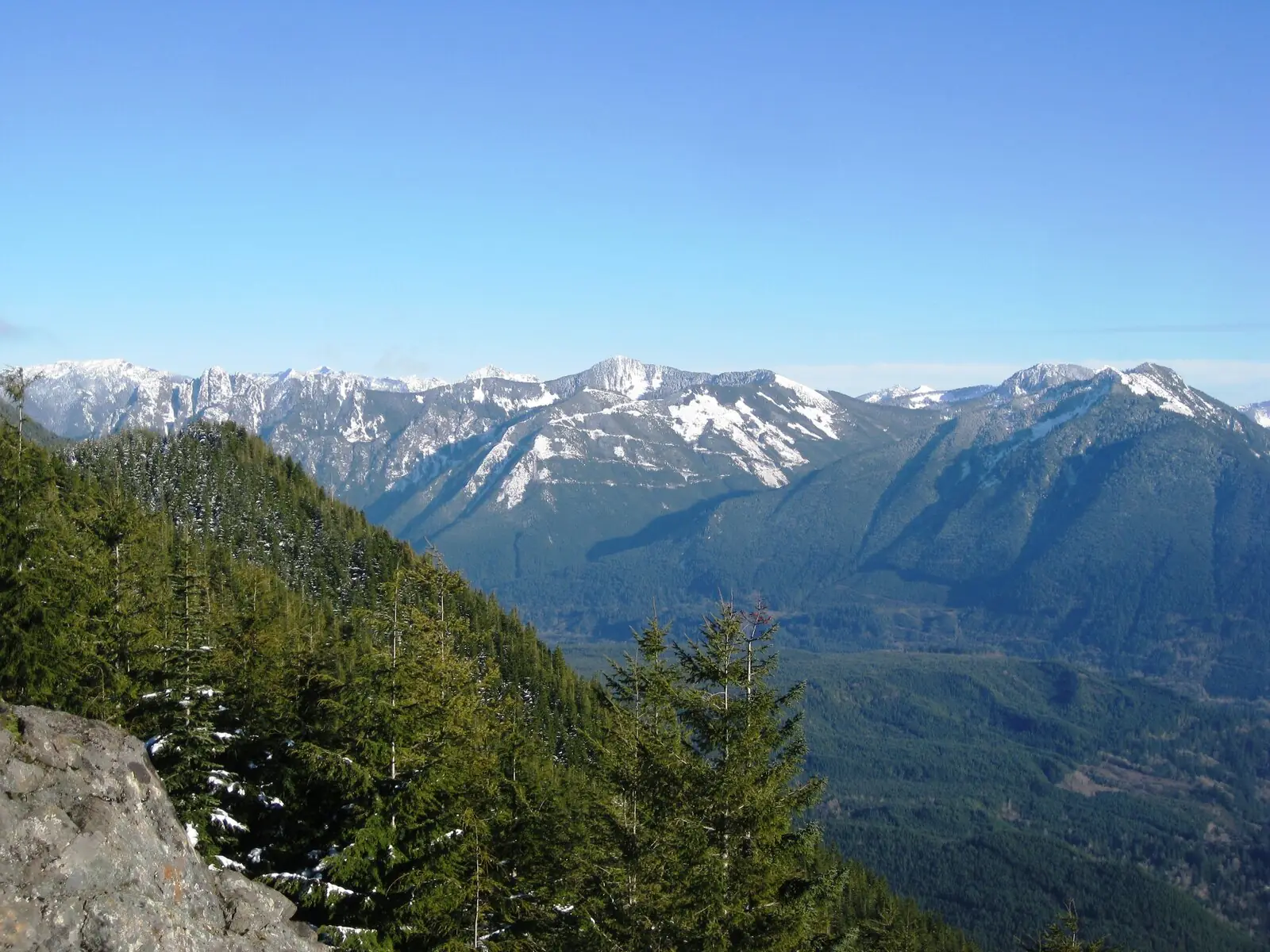 A snow-dusted range of forested peaks seen across a deep green valley from a rocky viewpoint, with conifers in the foreground and a clear blue sky