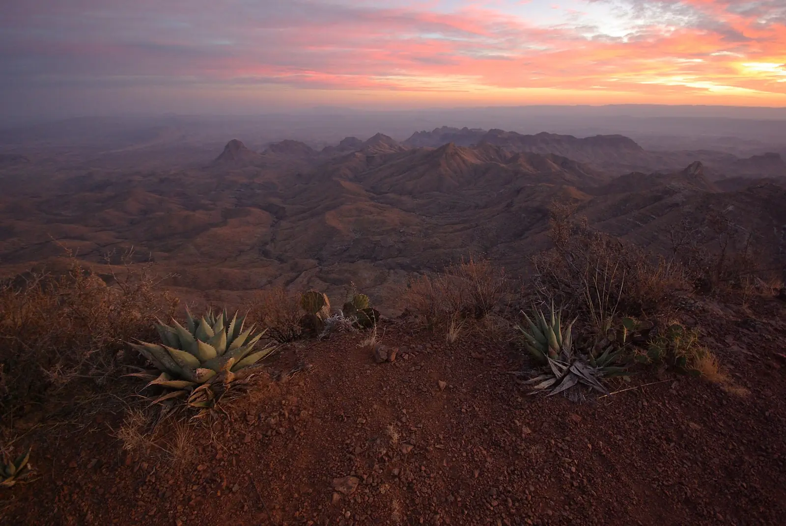 Desert mountains and ridges receding into haze under a pink and orange sunset, with agave and prickly pear on red gravel in the foreground