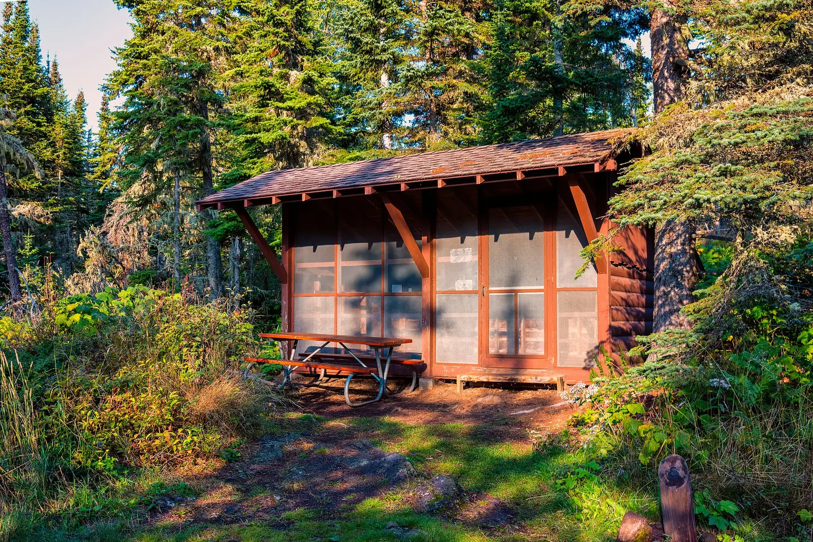 A small screened three-sided log shelter with a shingled roof and a picnic table, set in dense spruce and birch forest in low evening light