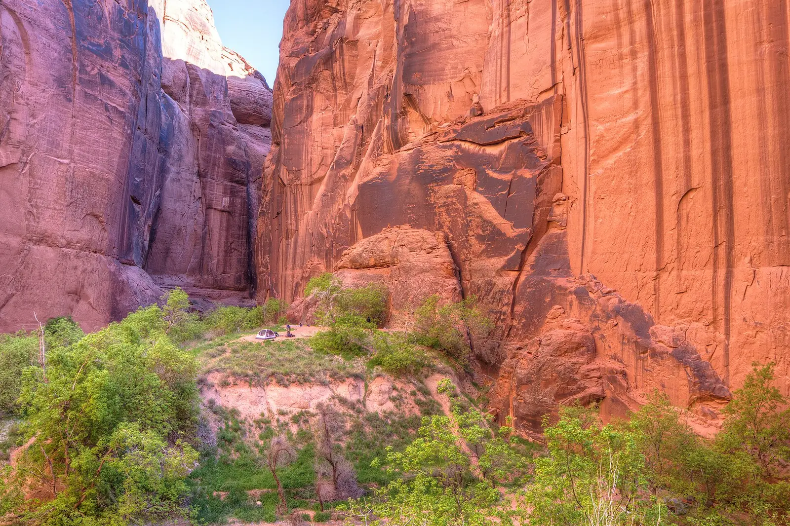 A single small tent pitched on a grassy bench high above a canyon floor, dwarfed by sheer red and orange sandstone walls hundreds of feet tall