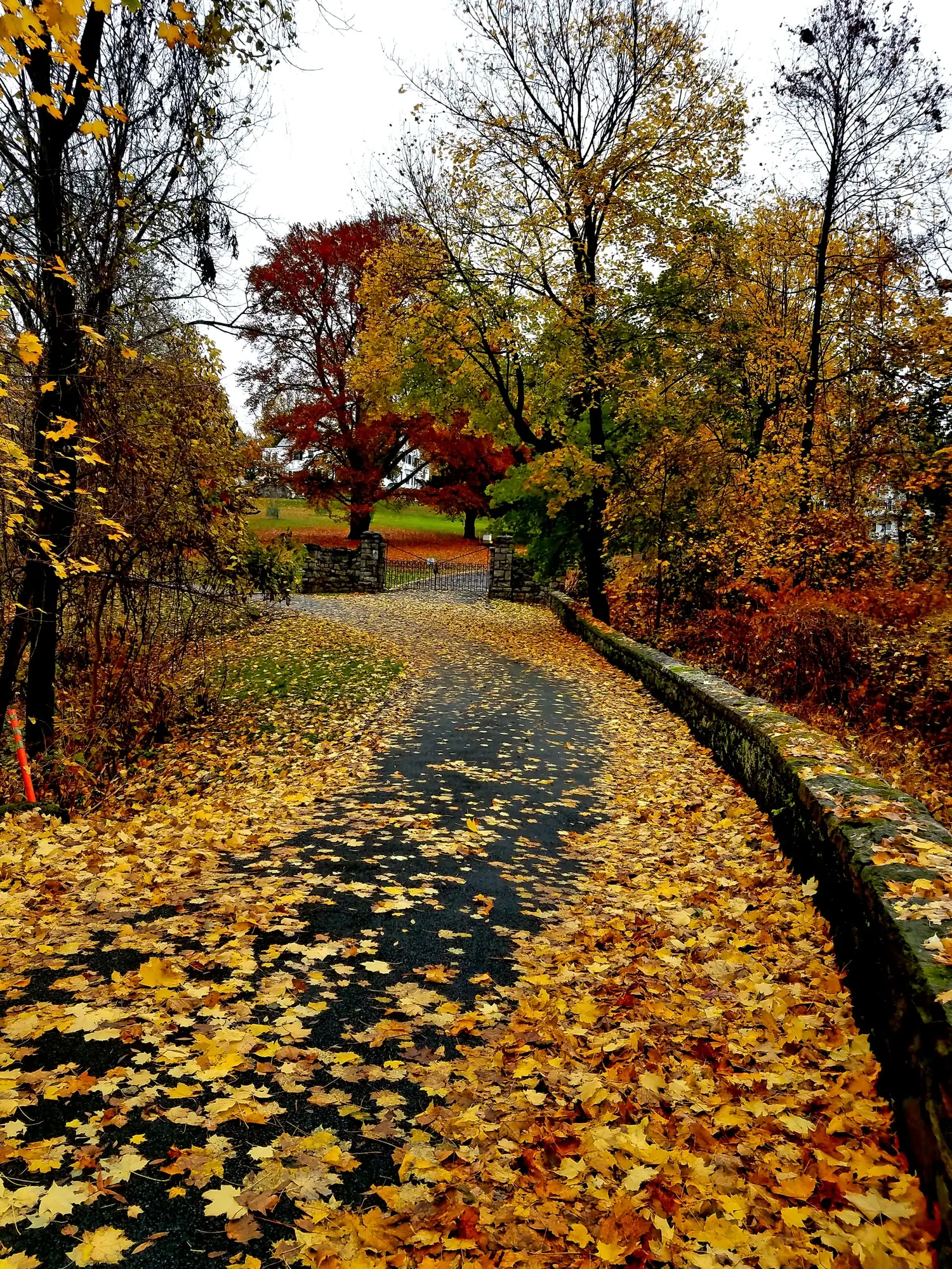 A gravel path deep in fallen yellow maple leaves running beside a low stone parapet through autumn trees, with an iron gate and open lawn at the far end