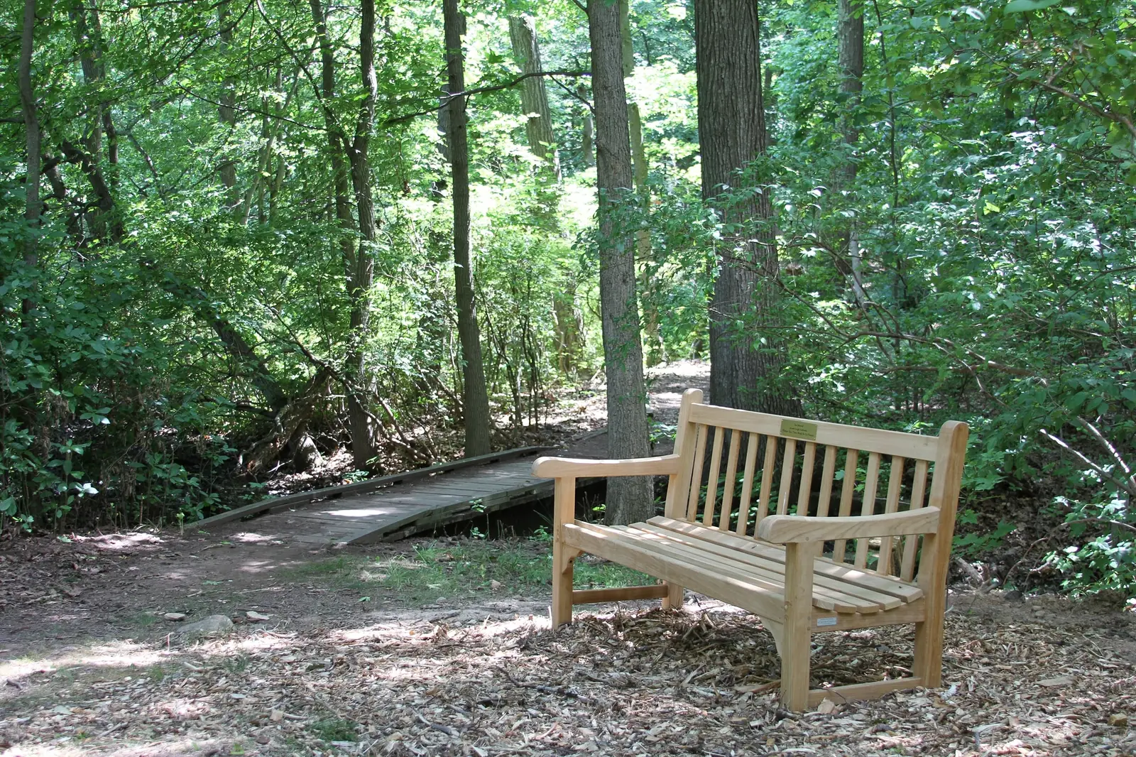 A wooden footbridge over a dry stream bed in dense green summer woodland in the Staten Island Greenbelt, with a bench on the near bank