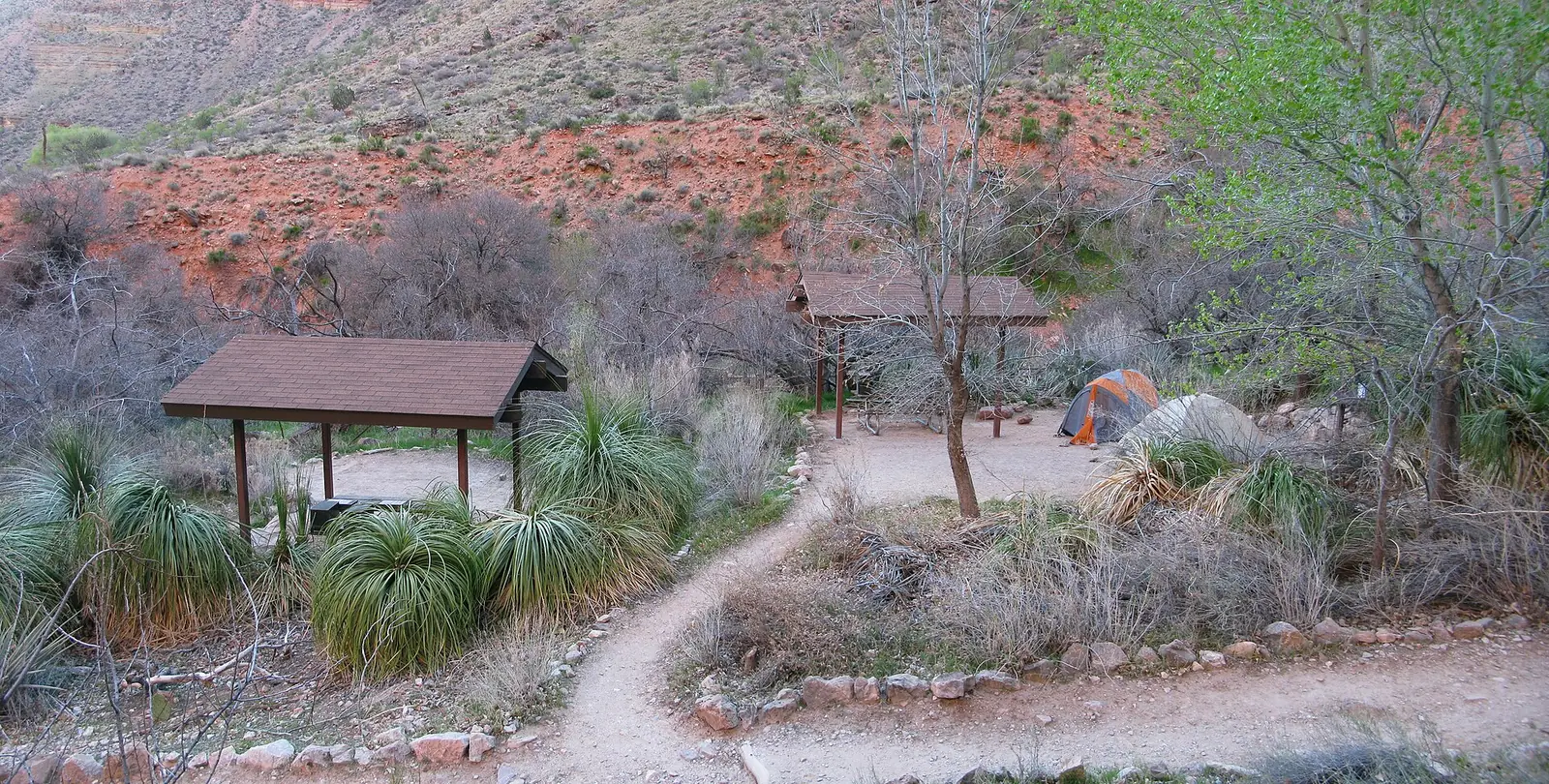 Open-sided shade shelters with brown roofs among cottonwood trees at Havasupai Gardens, with a dirt path running between them and a red desert slope rising behind