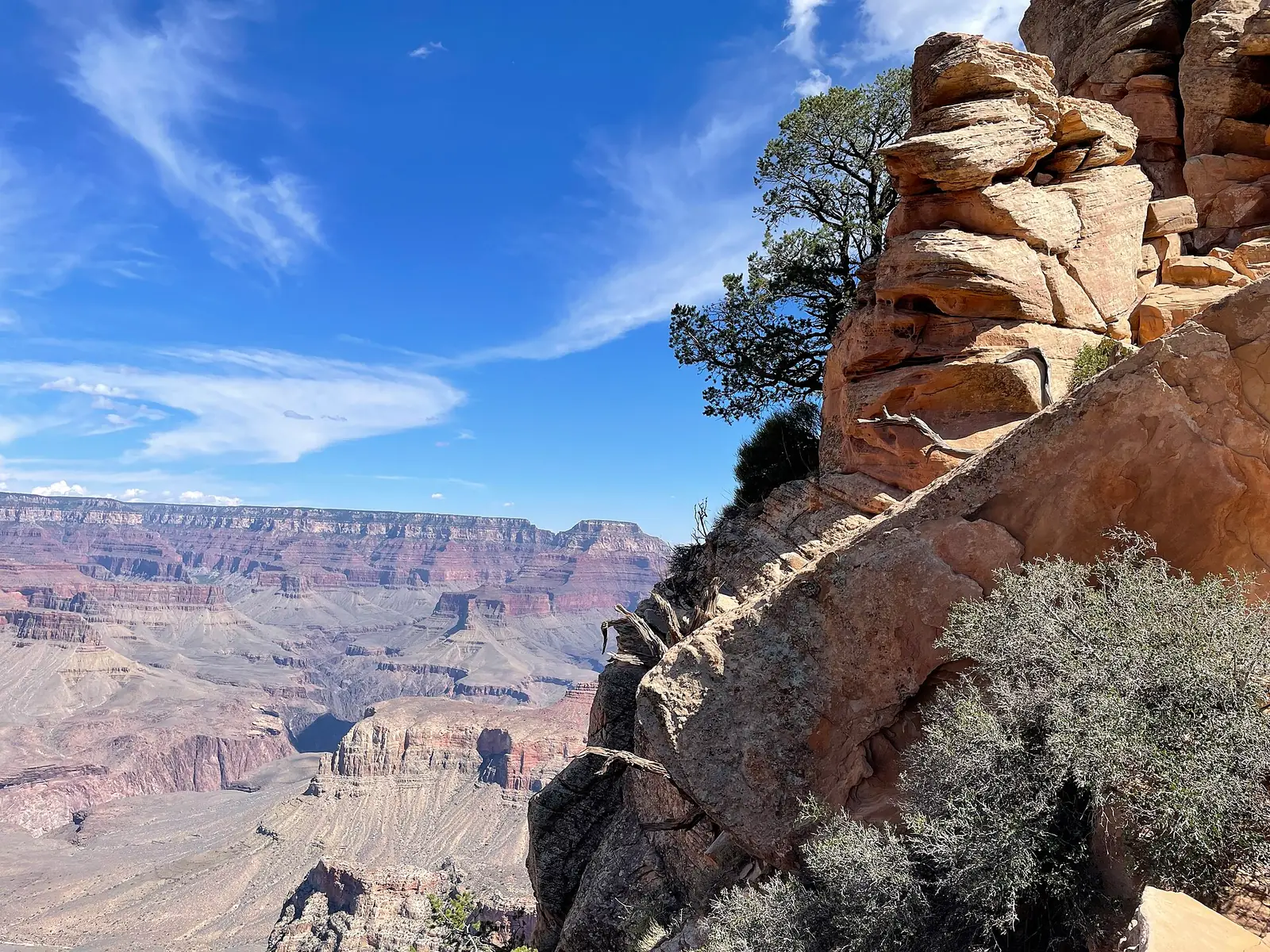 A rocky sandstone outcrop with a small pinyon pine growing from it on the South Kaibab Trail, with the layered far wall of the Grand Canyon behind under a blue sky