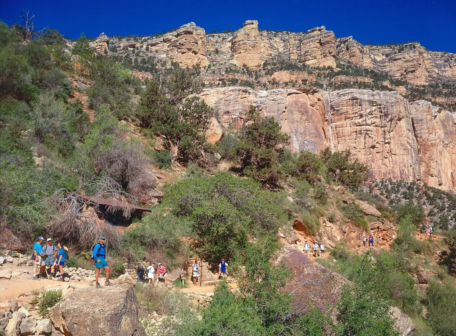 Hikers standing and sitting on the Bright Angel Trail beside the low stone Mile-and-a-Half Resthouse, with green scrub around them and a pale cliff band rising behind