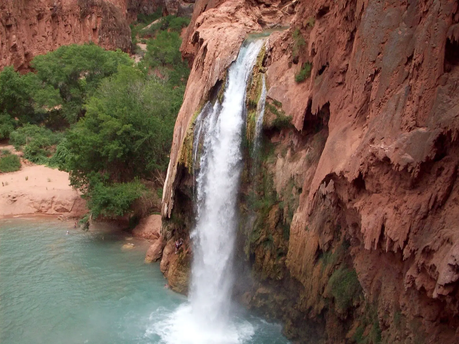 Havasu Falls plunging in a single column down a red cliff face into a wide turquoise pool, with cottonwoods and a sandy beach on the left bank