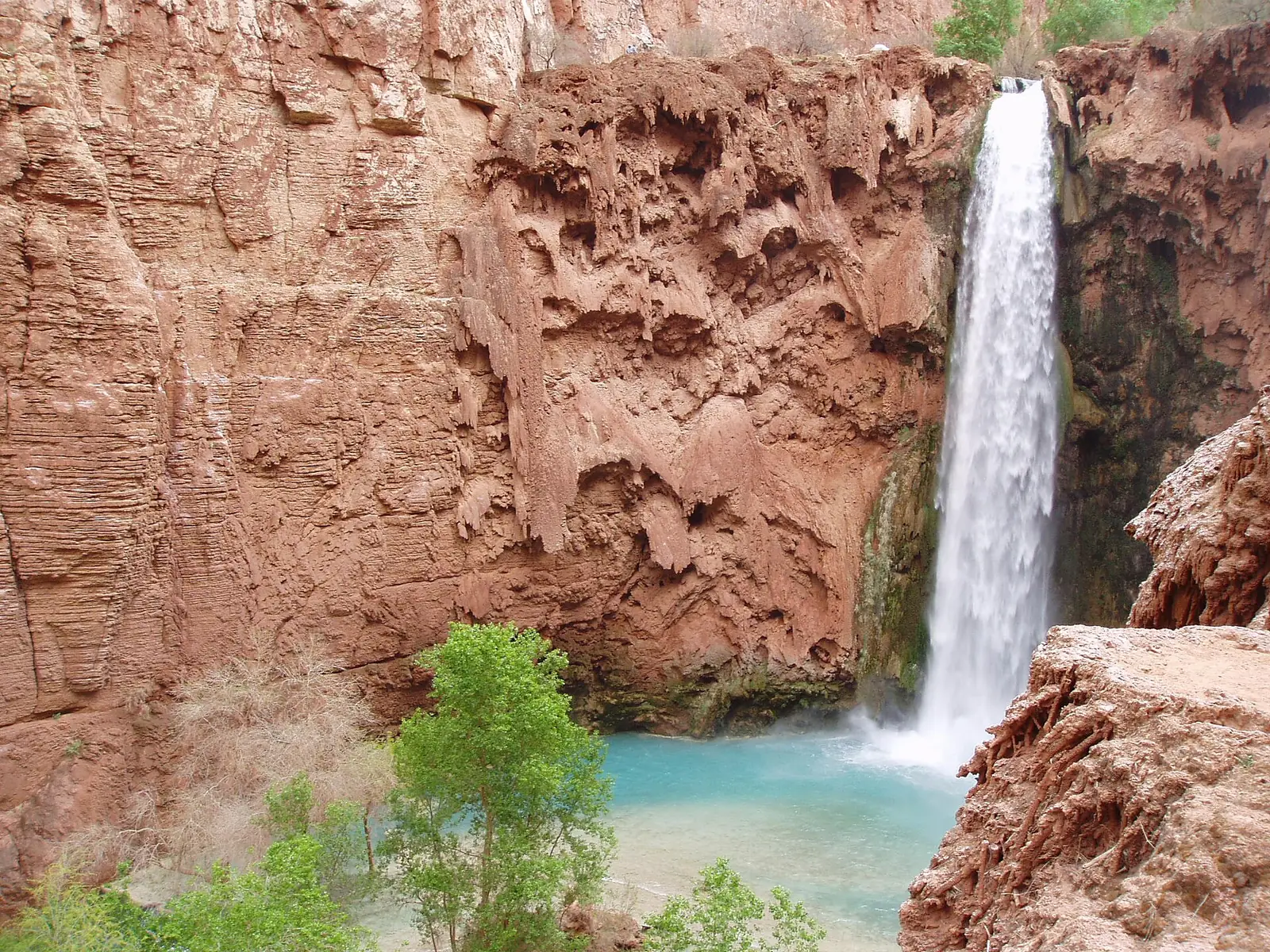 Mooney Falls dropping in a tall narrow column down a huge red cliff hung with travertine formations, into a pale blue pool with a cottonwood beside it