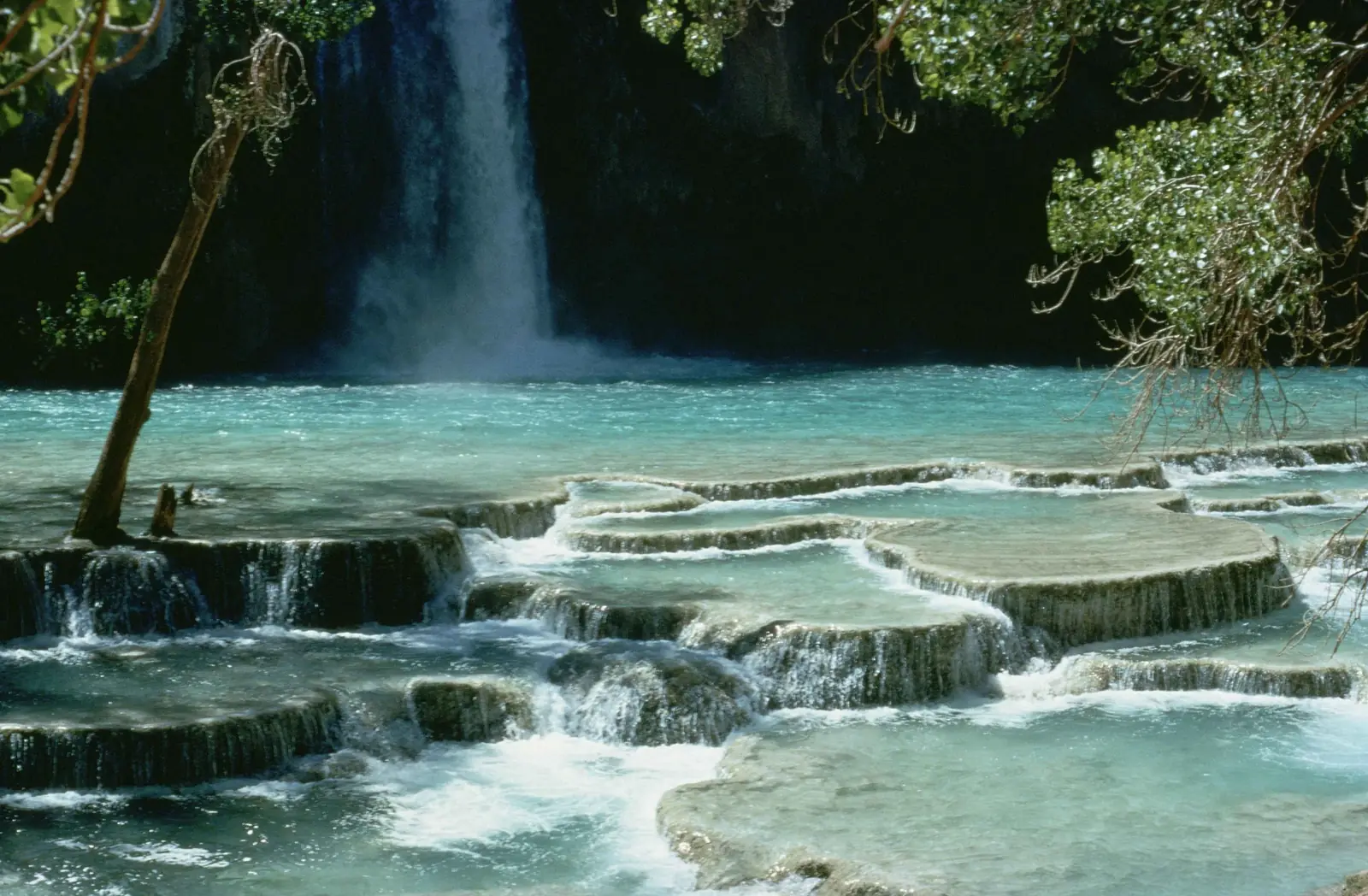 Havasu Creek sliding over stepped travertine dams into turquoise pools, with the waterfall and its plunge pool behind and green branches overhanging
