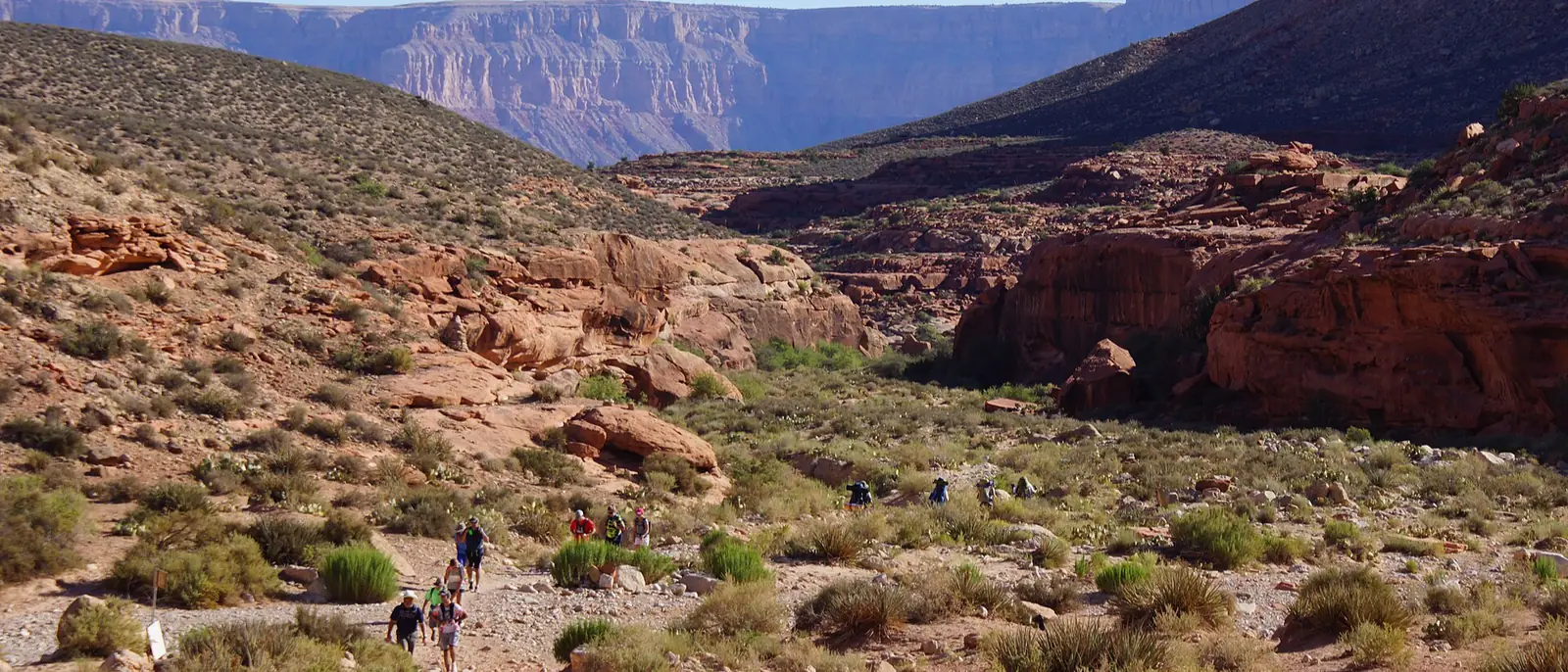 Hikers spread out along a gravel wash trail between low red rock walls in Havasu Canyon, with the pale cliffs of the Grand Canyon rim in the distance