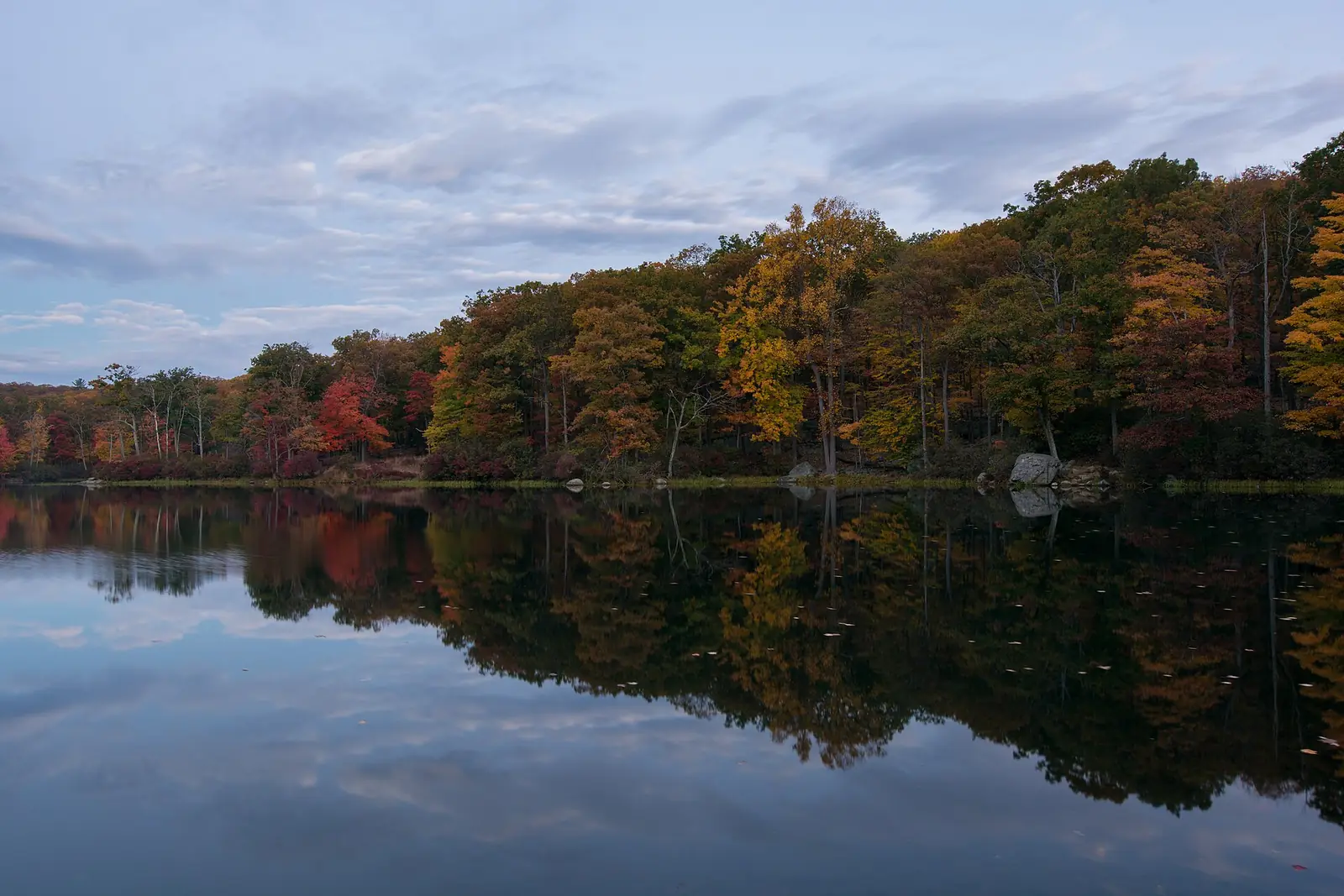 A still lake in low early-morning light mirroring a shoreline of oak and maple in full orange, red and gold autumn color under a pale clouded sky