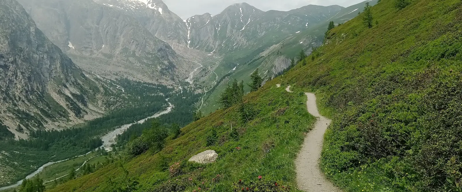 A narrow dirt footpath curving through alpenrose and grass high on a hillside in Italy's Val Ferret, with glaciated gray peaks and a braided river in the valley below