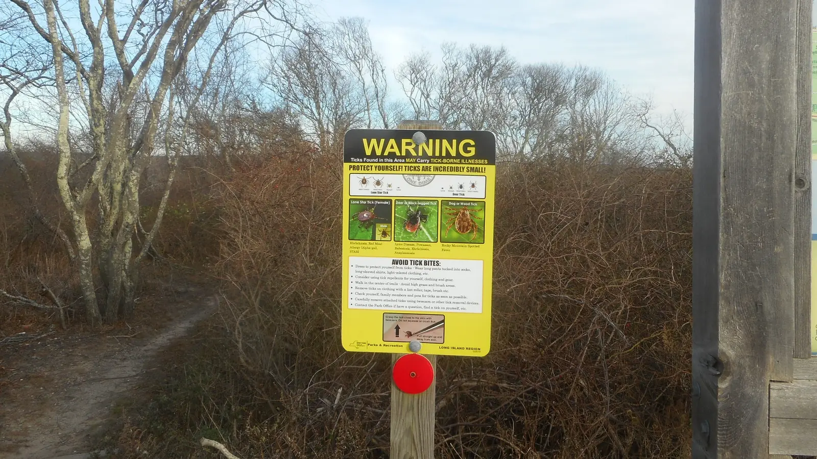A yellow tick warning sign on a wooden post beside a narrow sandy footpath that leads into dense brown coastal brush and bare trees