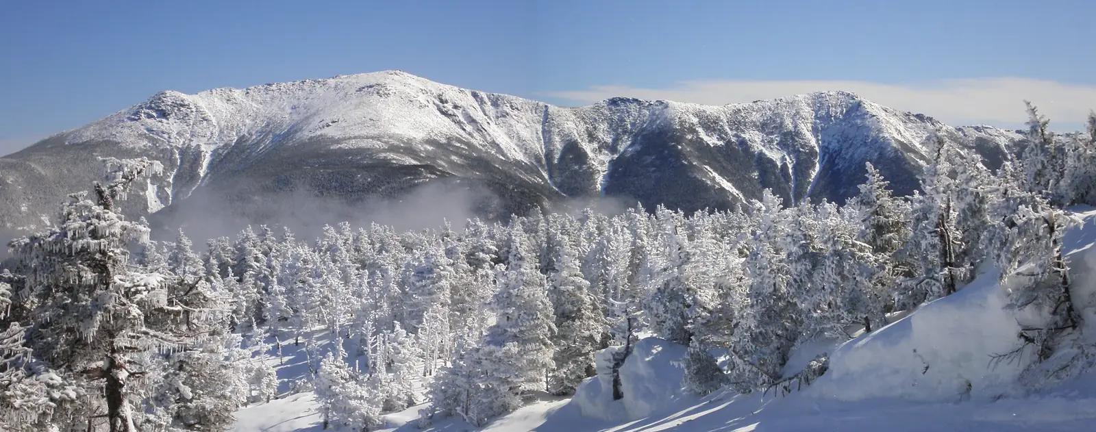 Franconia Ridge in winter, a long snow-covered ridgeline under a clear blue sky, seen across a forest of spruce so thickly coated in snow and rime that every tree is white