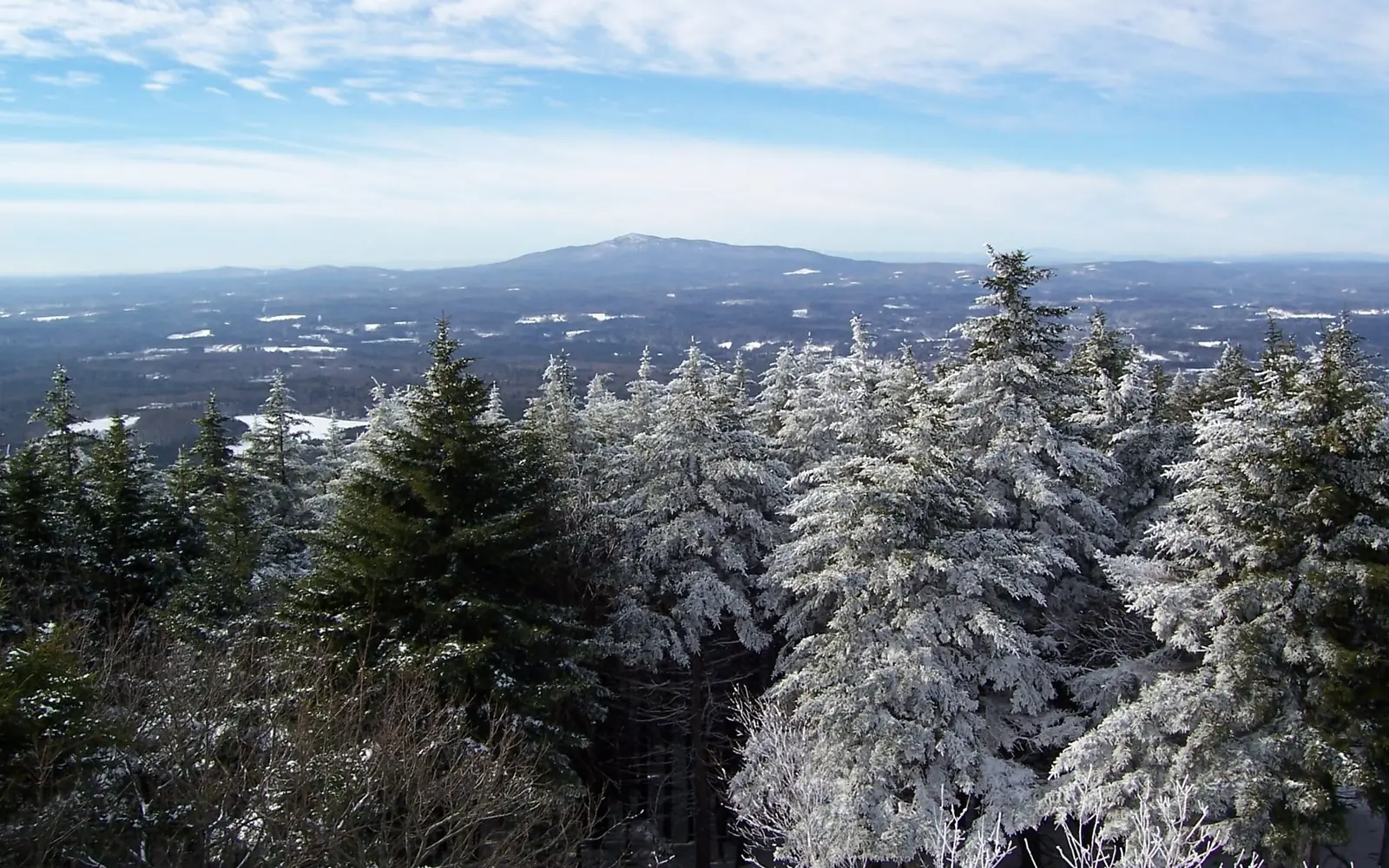 Spruce trees heavily coated in rime and snow in the foreground, with a lone broad mountain rising from a snow-dusted New Hampshire valley on the horizon under a pale blue sky