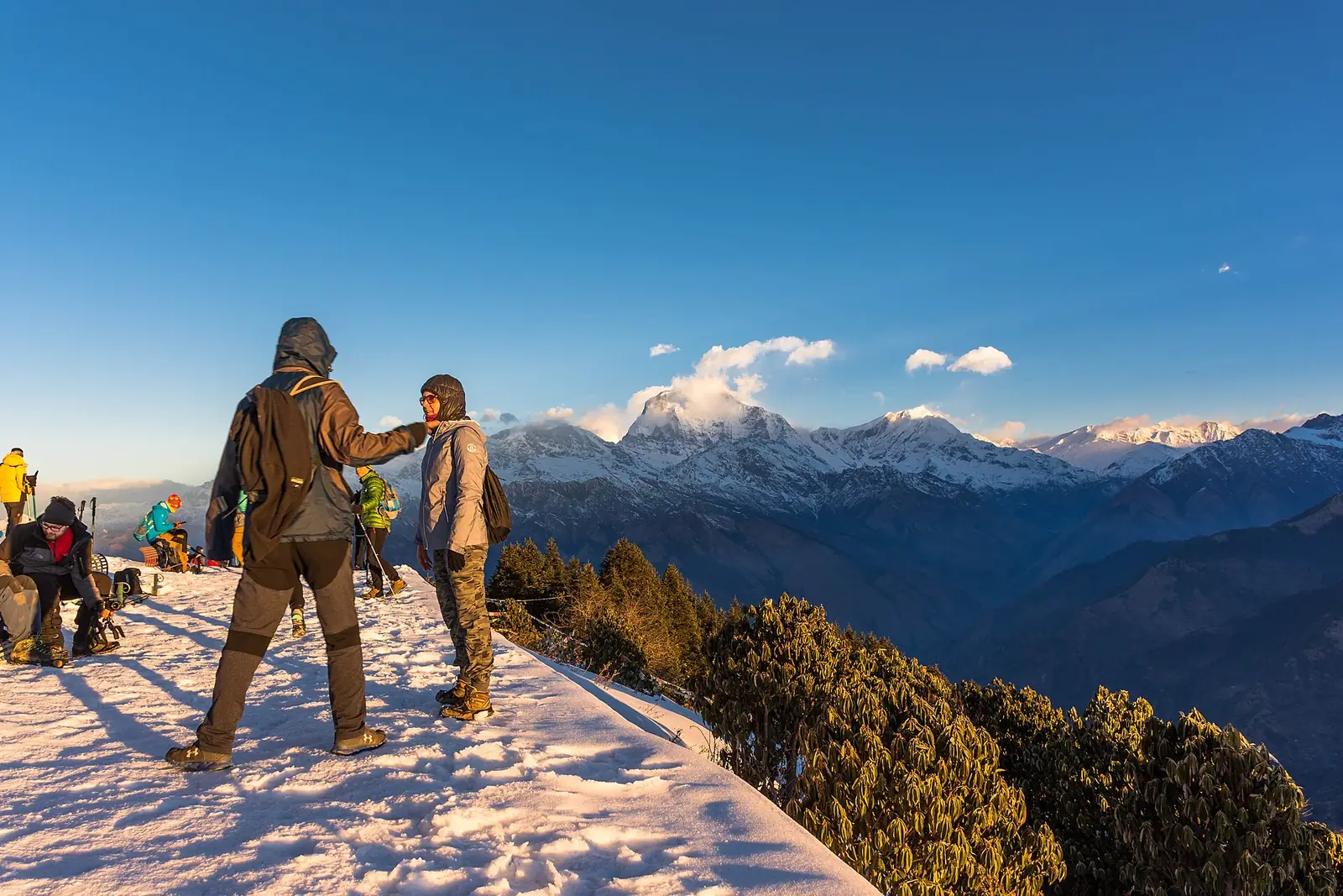 Walkers on the snowy summit of Poon Hill at sunrise, with the snow peaks of the Annapurna range and Machapuchare lit gold along the horizon