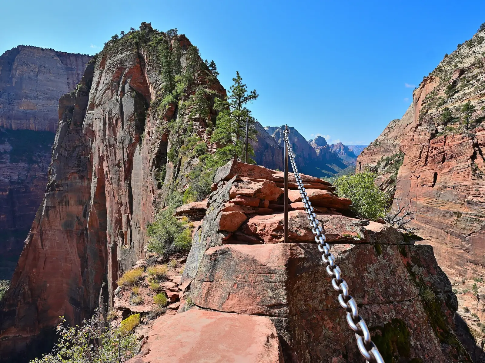 A chain bolted along bare red sandstone on the final ridge of Angels Landing, with the narrow fin rising ahead and Zion Canyon dropping away steeply on both sides