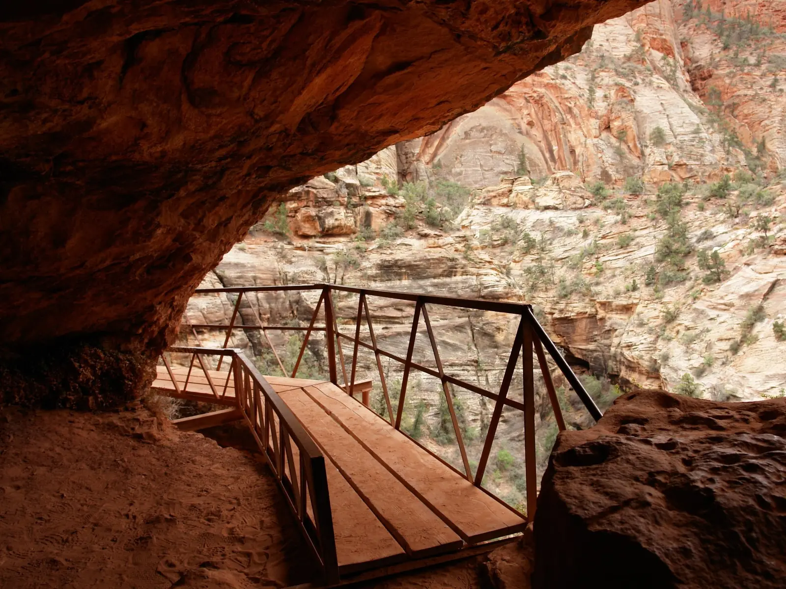 A wooden catwalk with a railing running under a huge overhanging sandstone roof on the Canyon Overlook Trail, opening onto pale cliffs and pinyon pines beyond