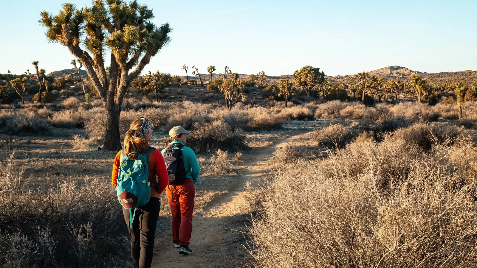 Best Sun Hoodies for Hiking of 2026