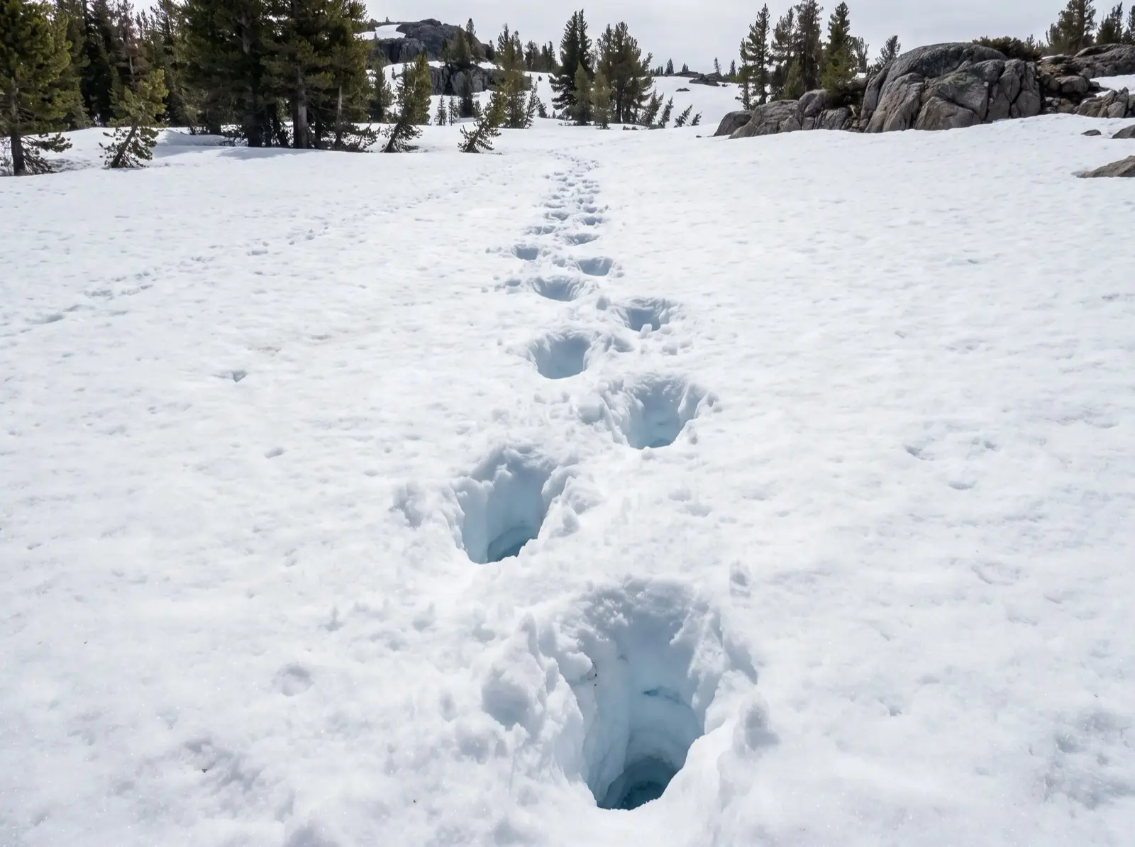 A line of deep thigh-deep holes punched through soft spring snow, each with collapsed ragged edges and blue shadow inside, leading away across a snowfield.