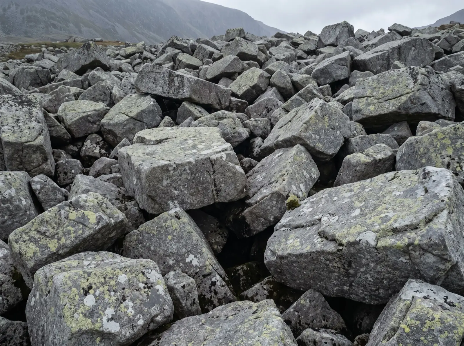 A field of large angular granite blocks, dinner-plate to car sized, crusted with pale green lichen and separated by deep dark gaps.