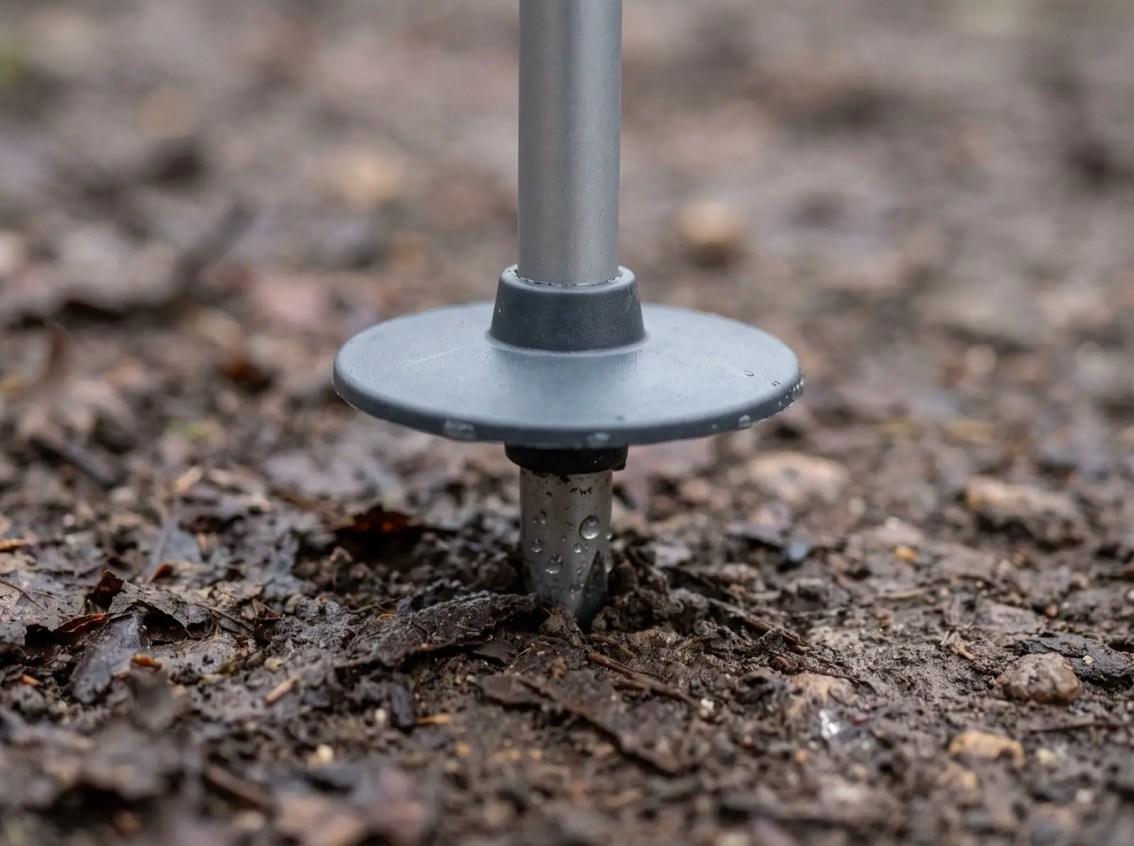 A close-up of a trekking pole planted in wet leaf litter, with a small round gray plastic basket fitted a few inches above the pointed carbide tip.